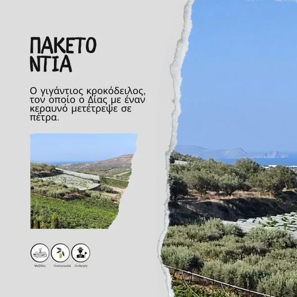 Πακέτο Ντία